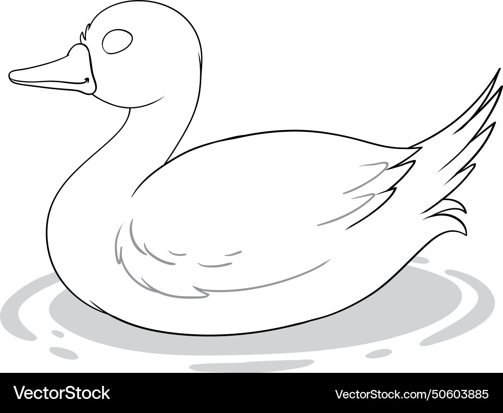 Simple of a duck floating Vector Image