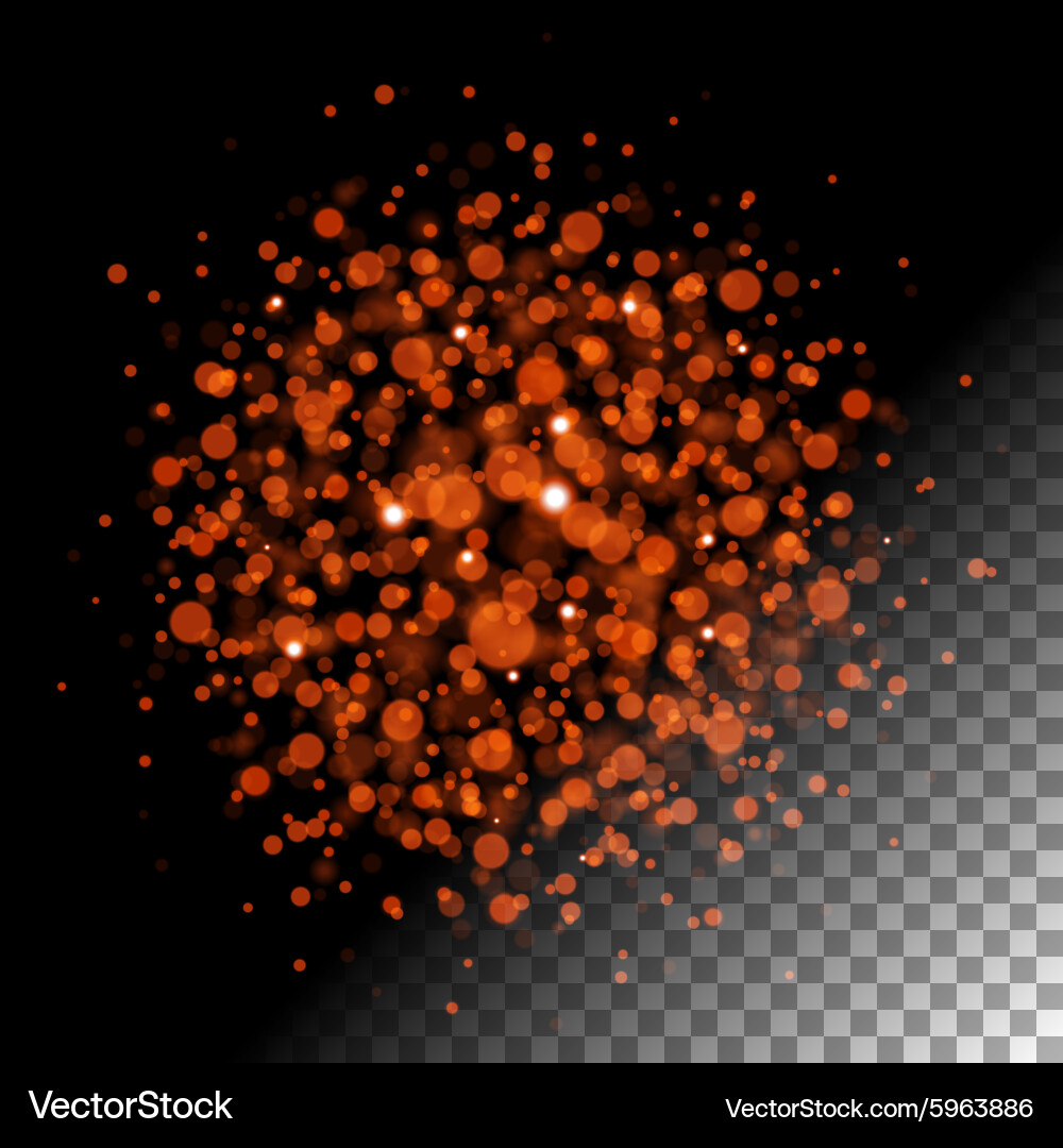 Abstract bokeh lights and sparkles vector image