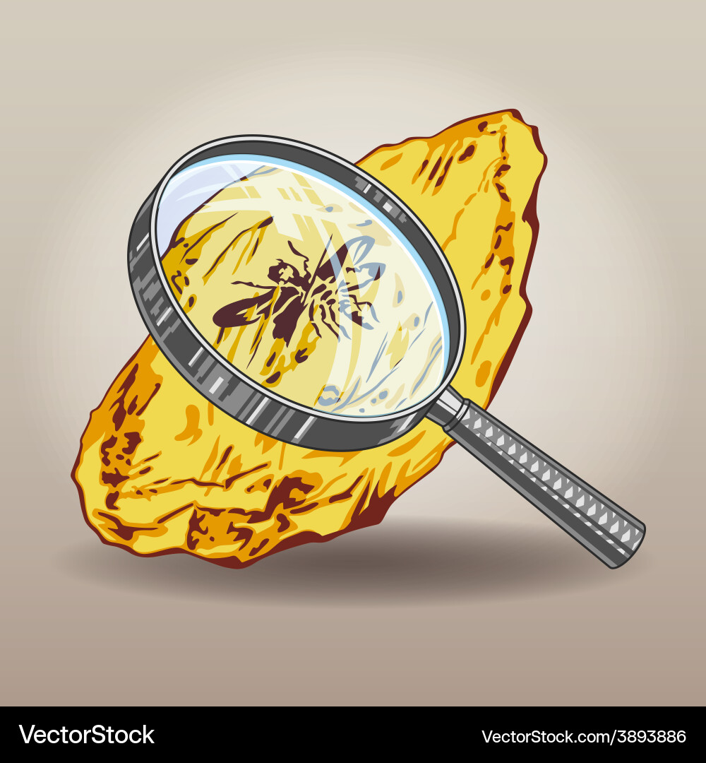 Amber Fossil with Insect vector image