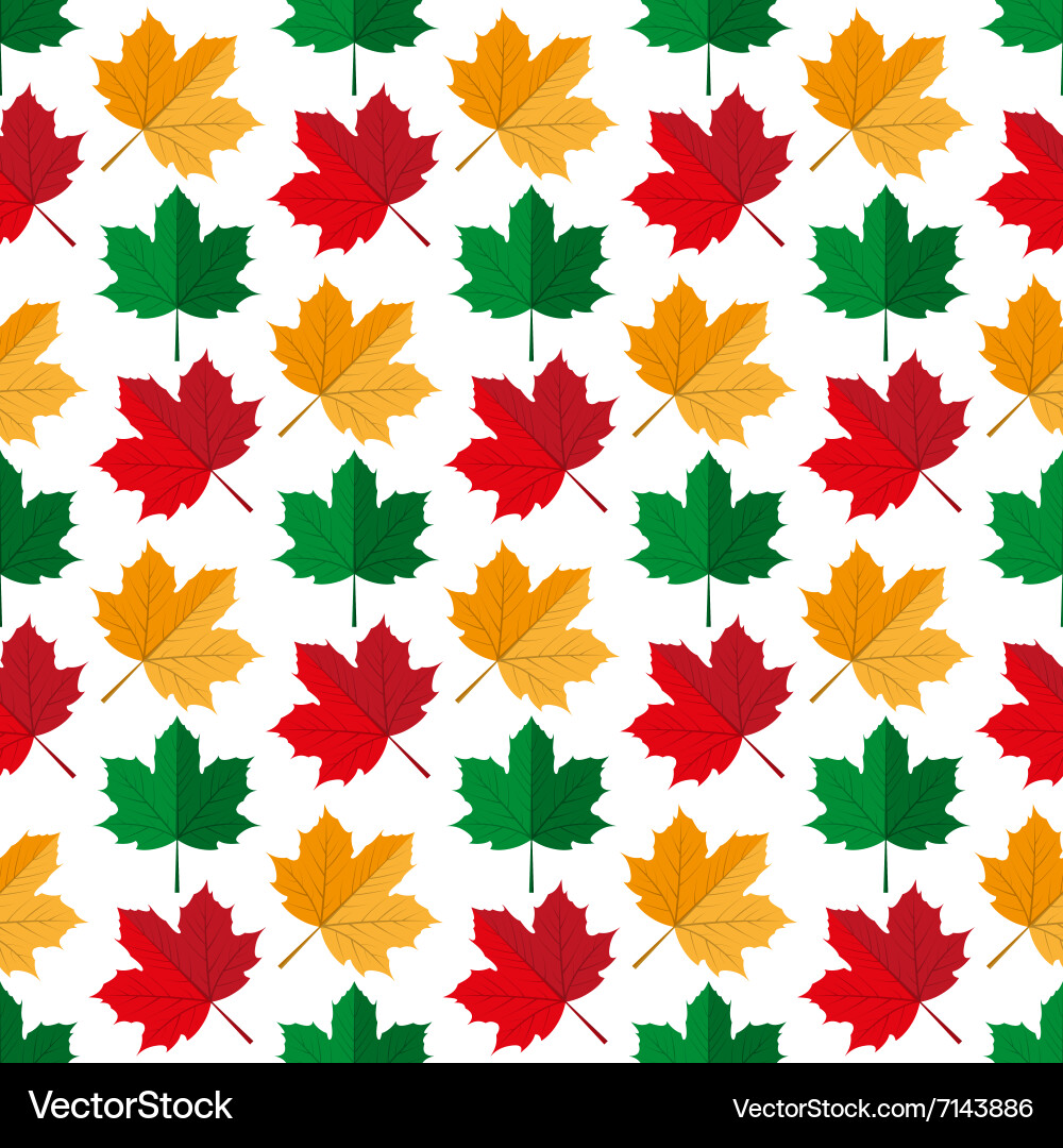 Autumn maple leafs pattern vector image
