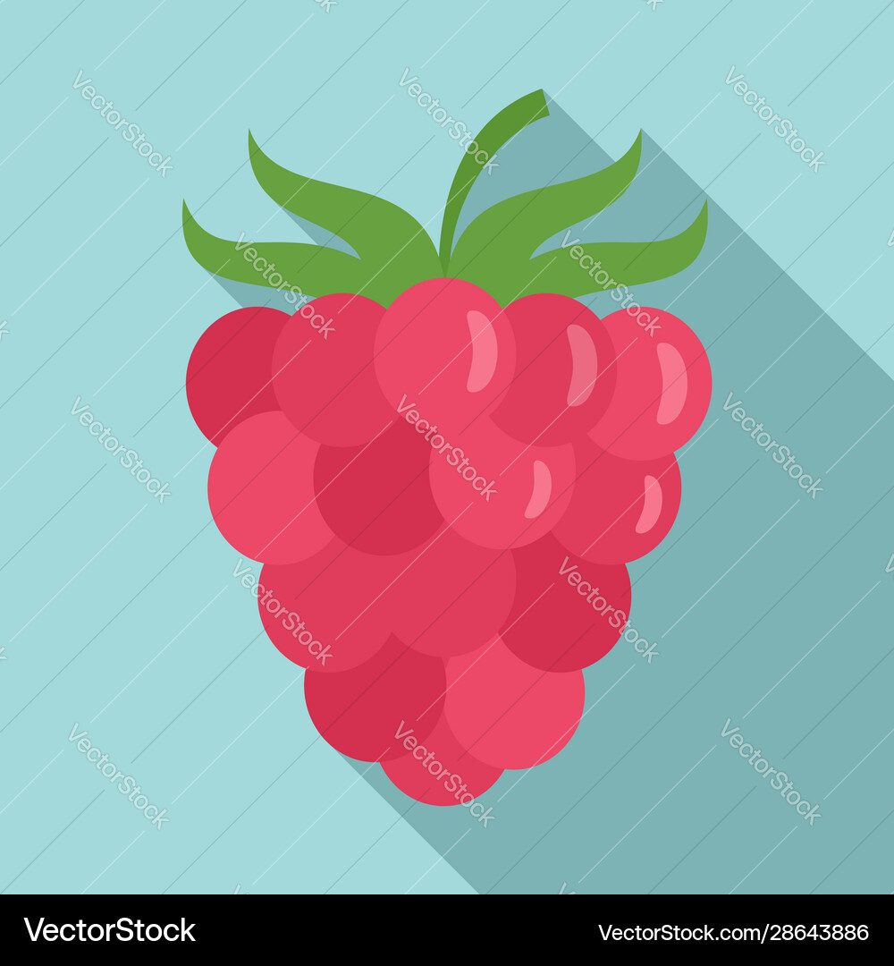 Raspberry icon flat style Vector Image