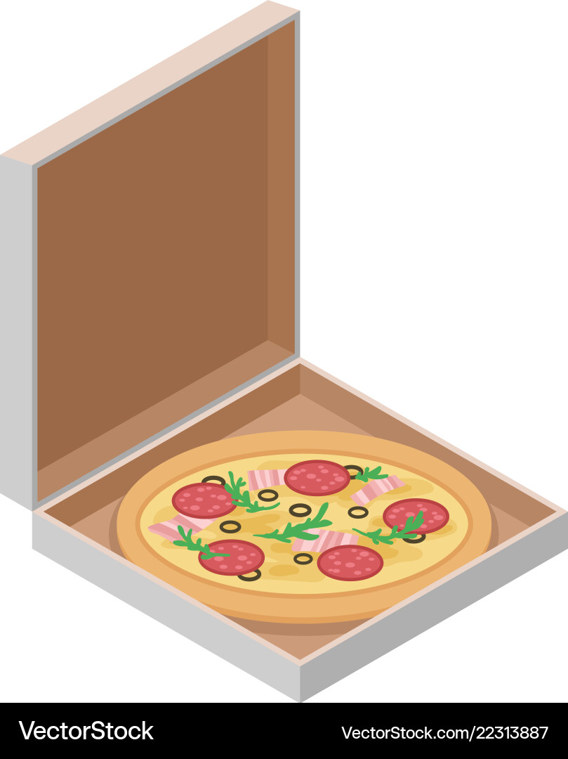 Delicious italian pizza in cardboard box fast Delicious italian pizza in cardboard box fast Vector Image