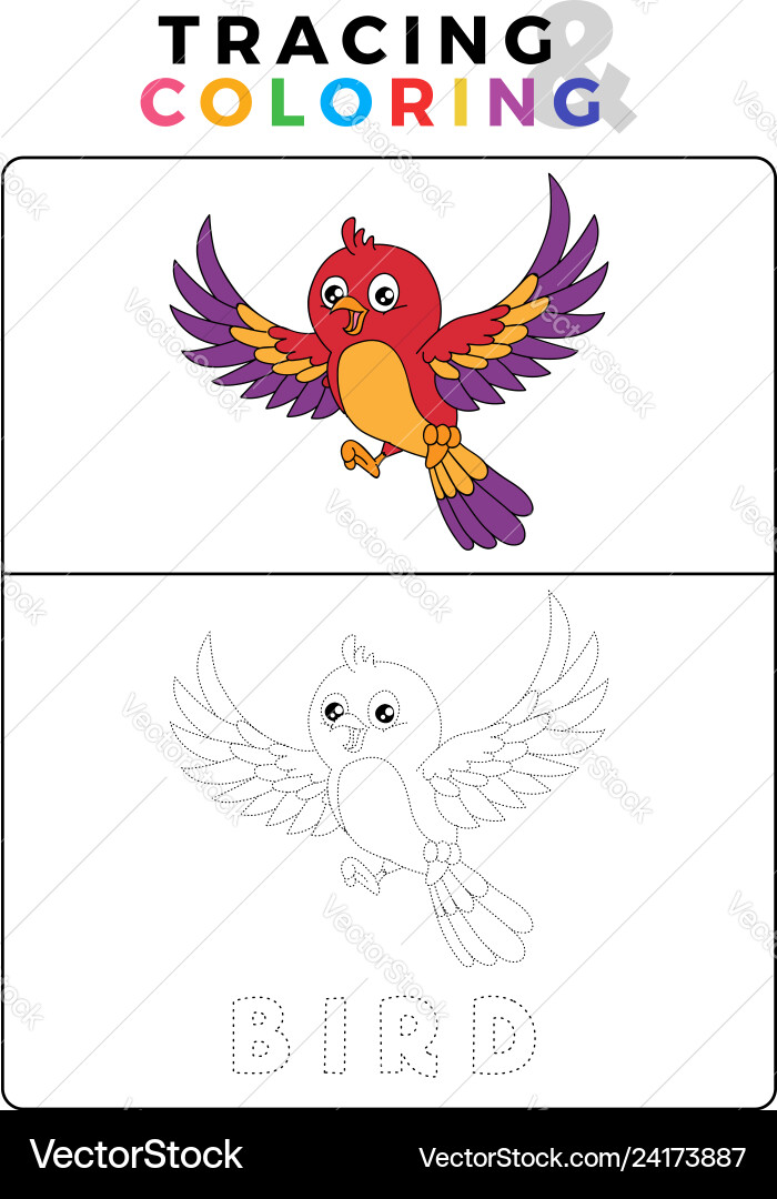 Funny bird tracing and coloring book with example Funny bird tracing and coloring book with example vector image