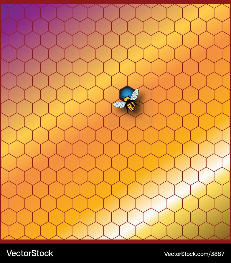 Honeycomb Pattern vector image