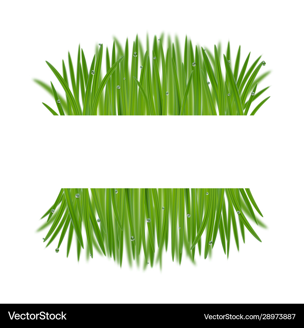 Natural frame from grass with bokeh effect Natural frame from grass with bokeh effect vector image