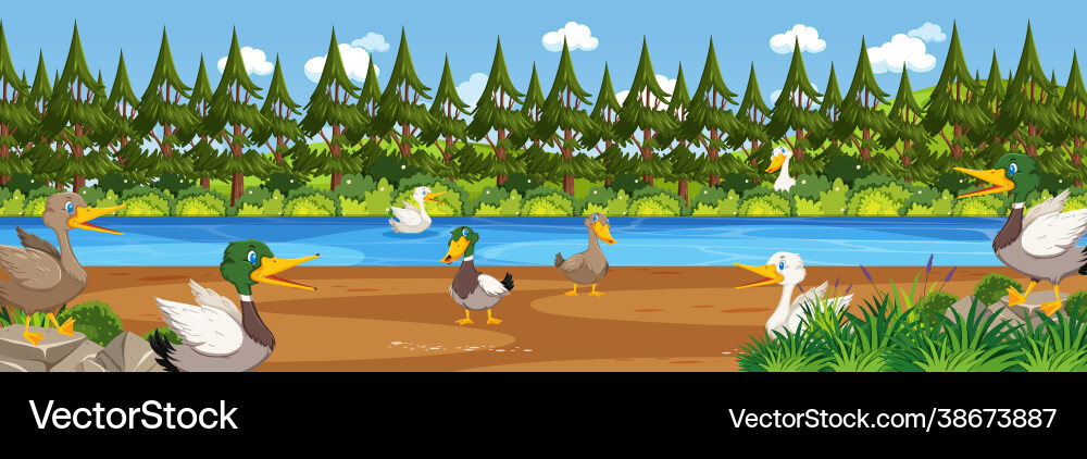 Panorama Landschaftsszene mit vielen Enten Panorama Landschaftsszene mit vielen Enten vektorbild