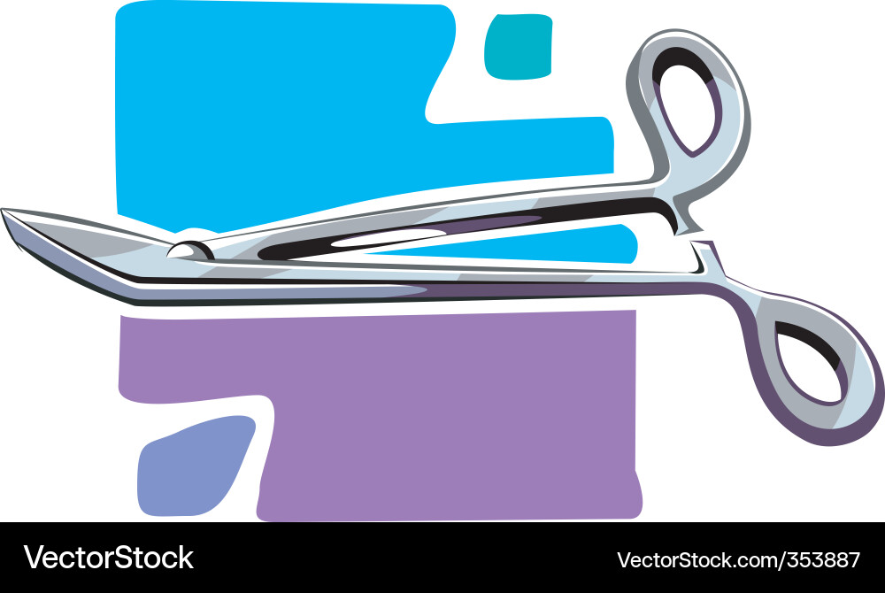 Scissors Vector Image