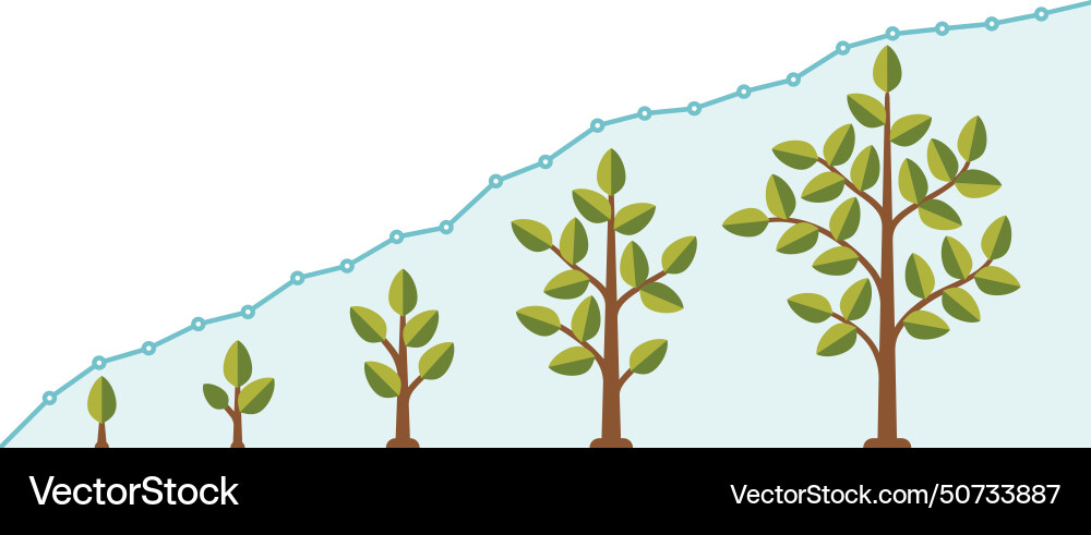 Tree growth speed line graph infographic chart Tree growth speed line graph infographic chart vector image