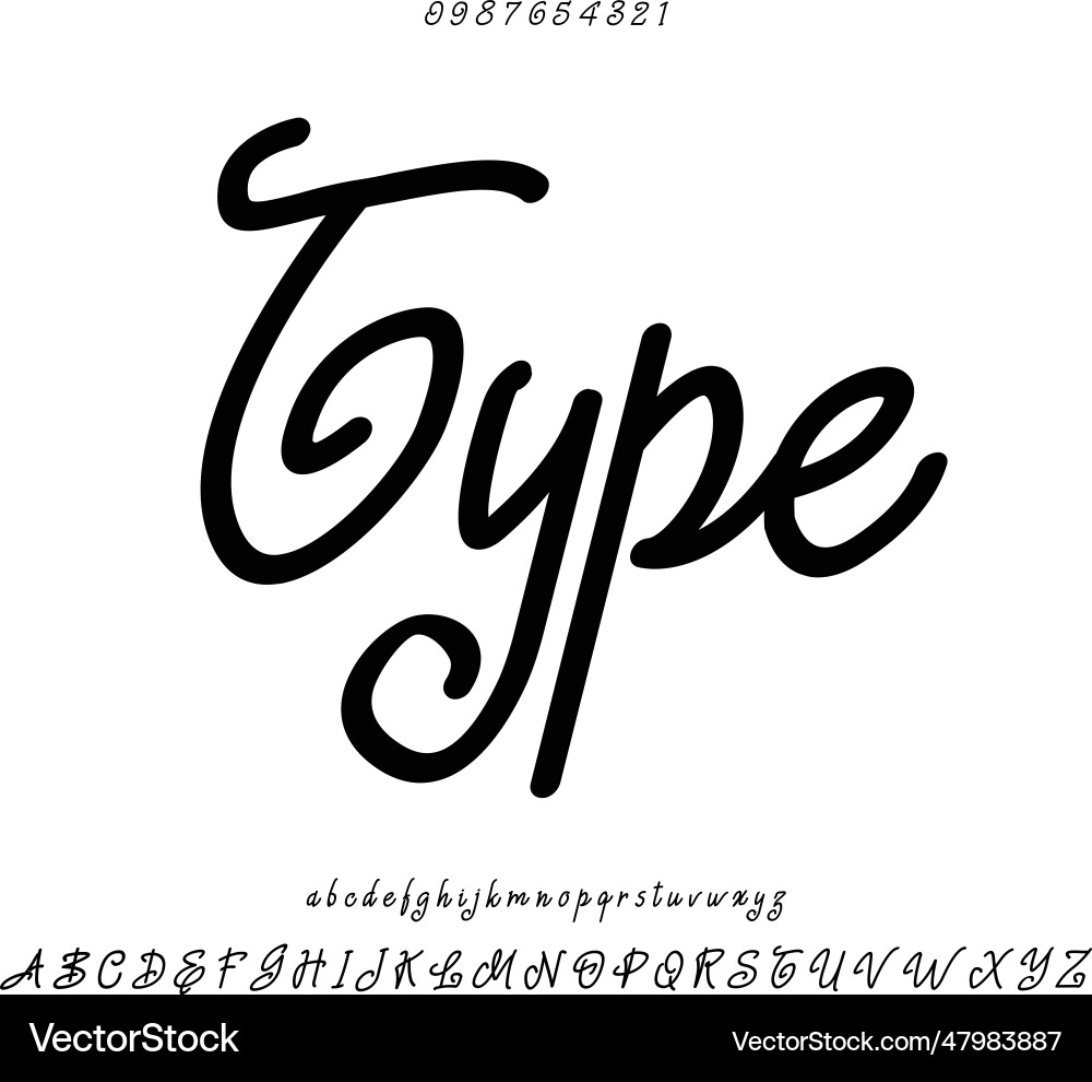 Type font style effect vector image