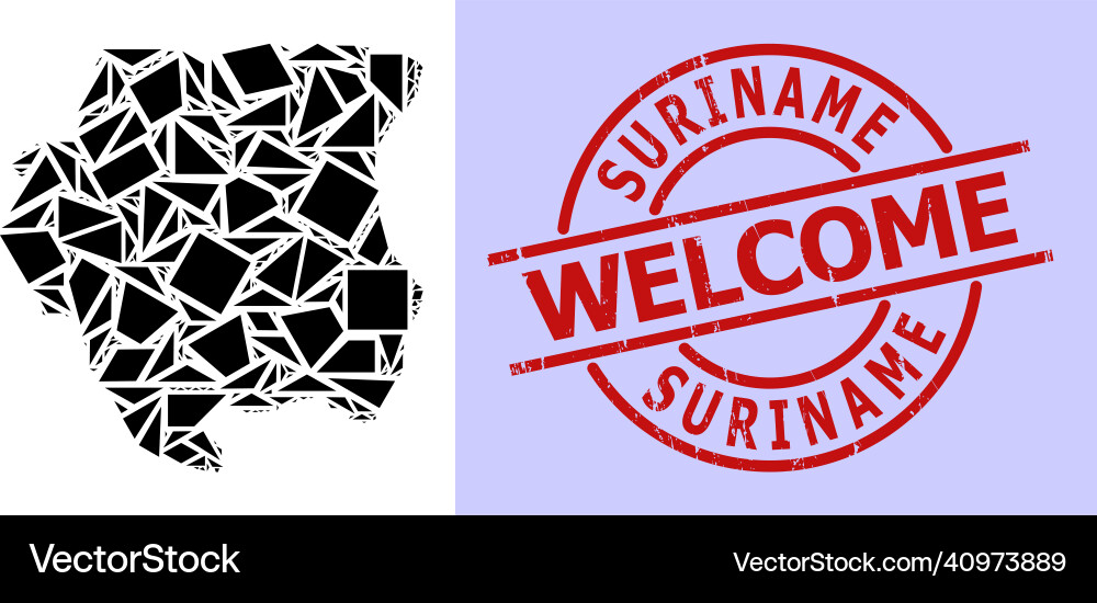 Simple geometric mosaic map of suriname with round Simple geometric mosaic map of suriname with round vector image