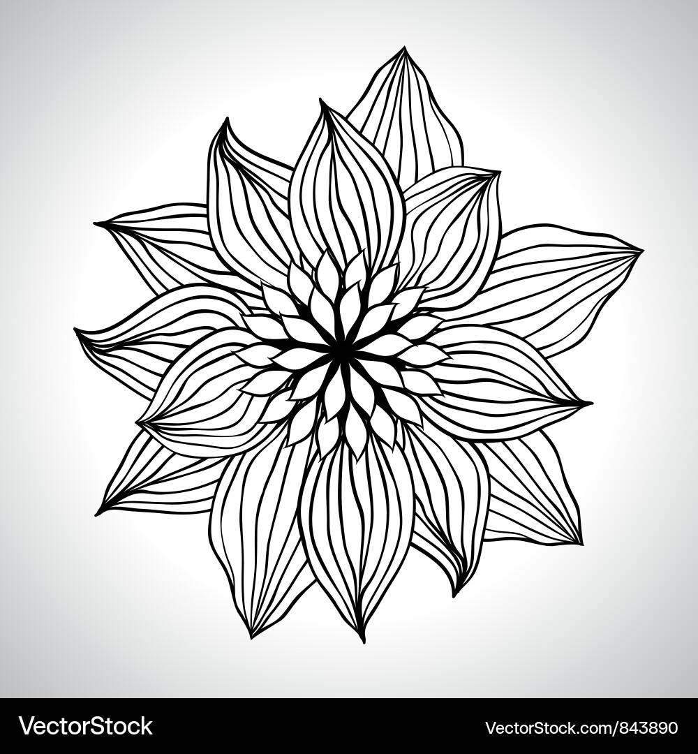 Abstract floral background flower element vector image