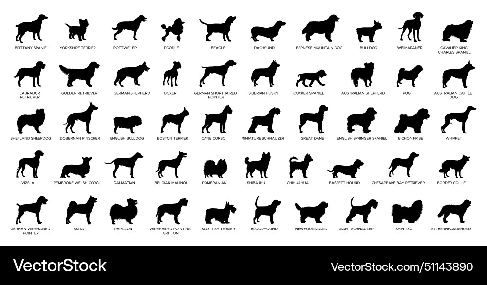 Dog Breed Silhouettes Collection Vector Image