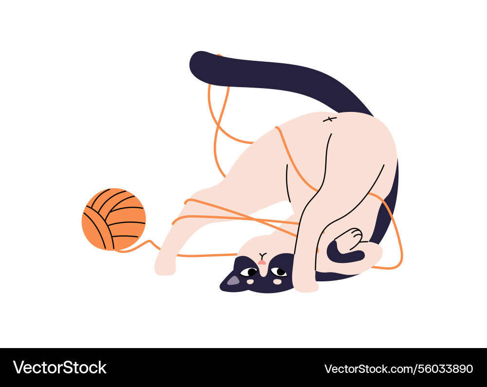 Goofy cat had fun and got tangled in threads Goofy cat had fun and got tangled in threads vector image