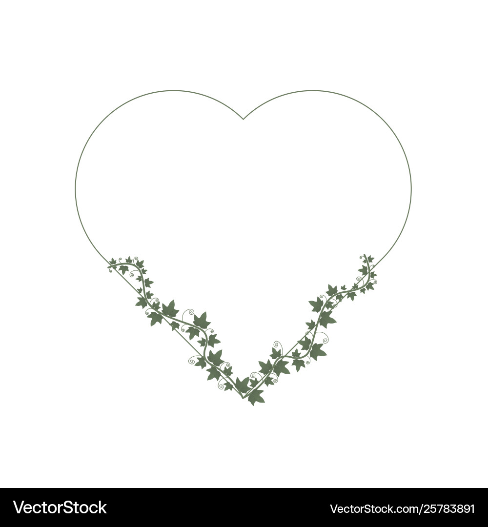 Ivy wraps around frame in shape Ivy wraps around frame in shape Vector Image