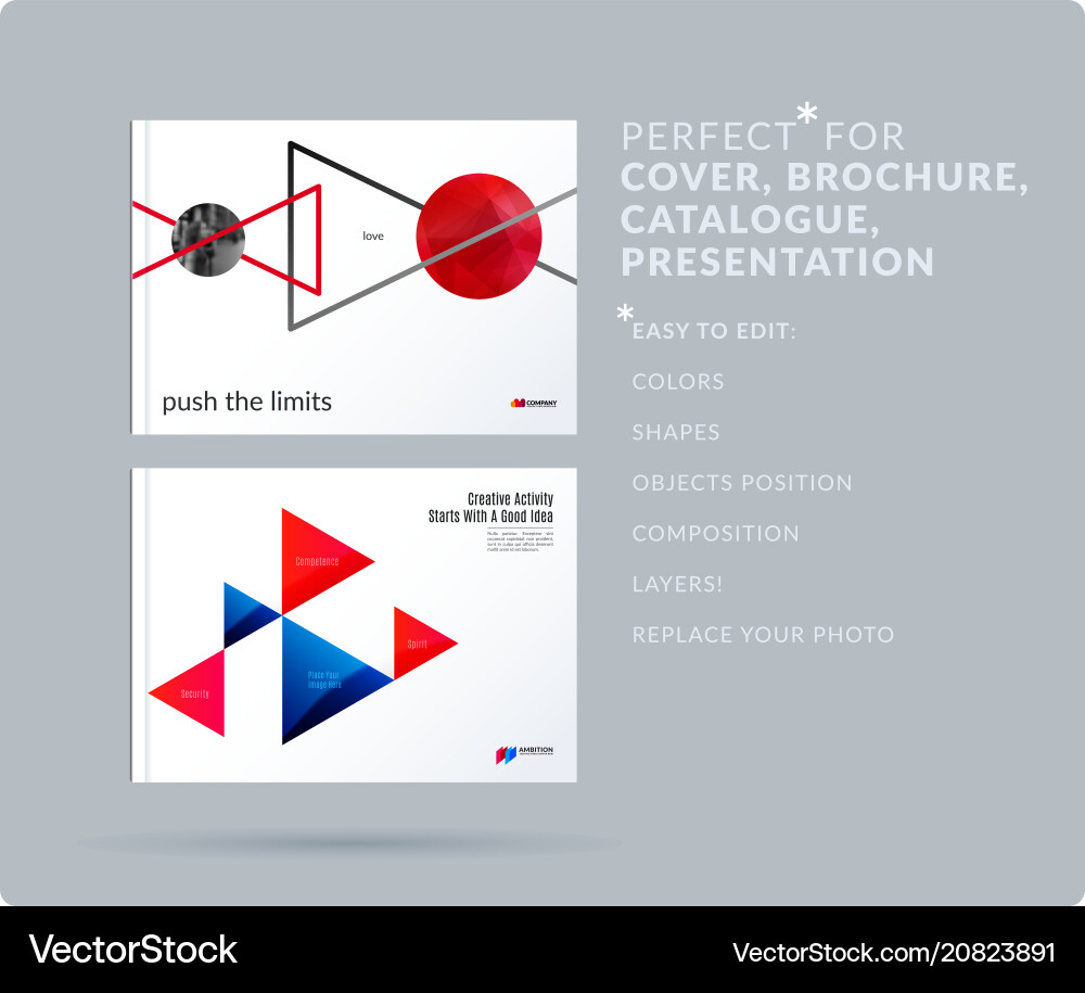 Triangular Business Presentation Vector Image