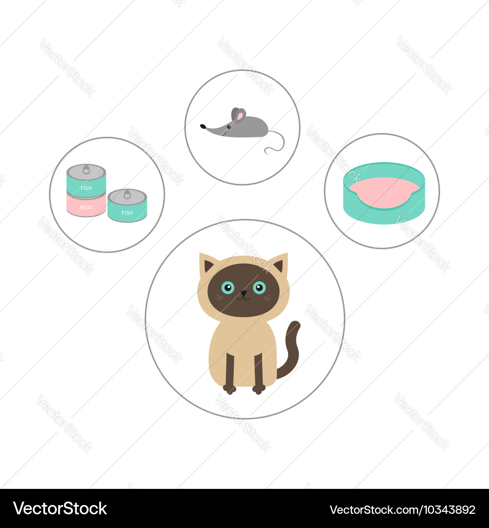 Siamese cat round circle icon set in shape of paw Vector Image
