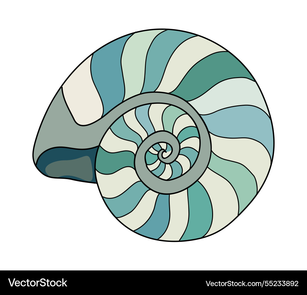 Swirled Marine Seashell Art Vektorbild