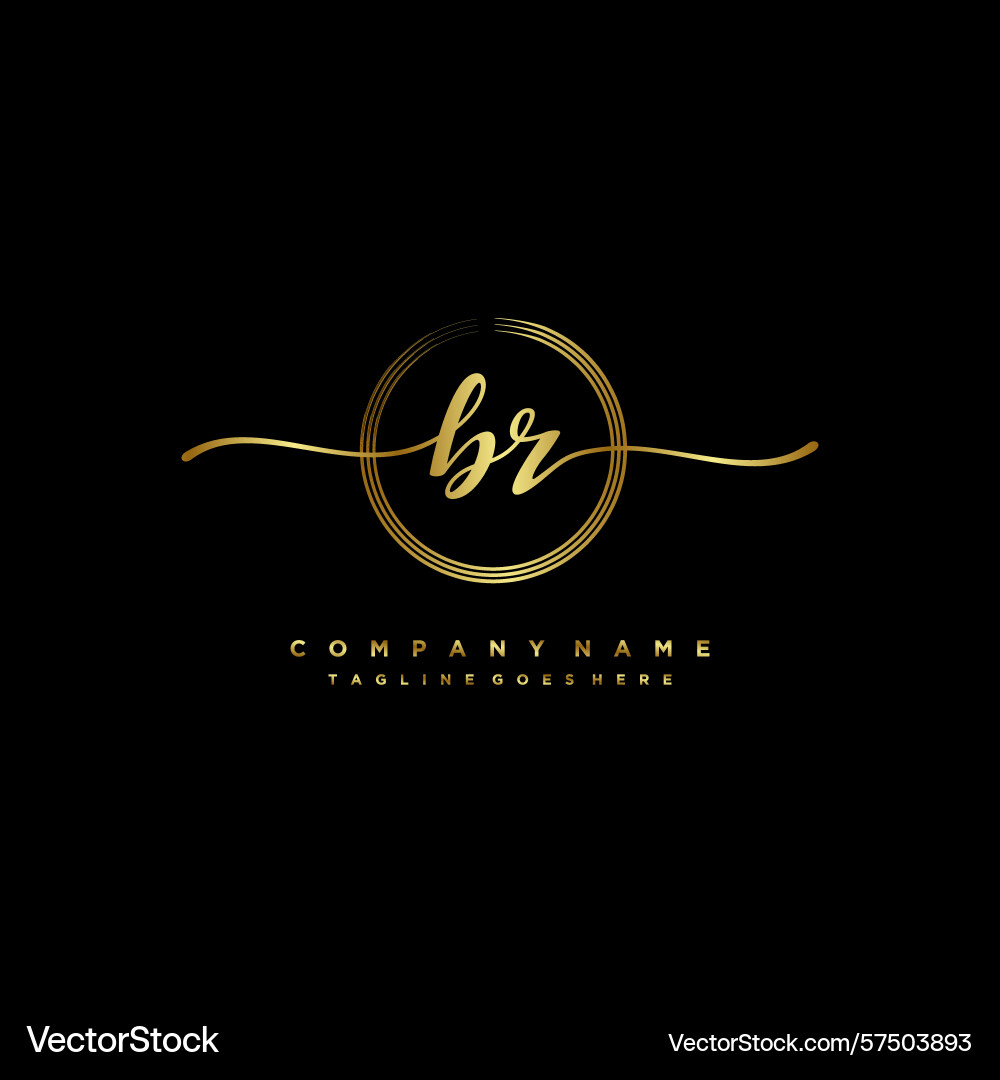 Br initial handwriting logo with circular wave Vector Image
