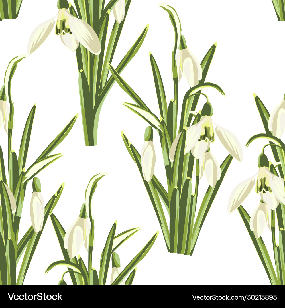 Seamless pattern with bouquet snowdrop Seamless pattern with bouquet snowdrop vector image