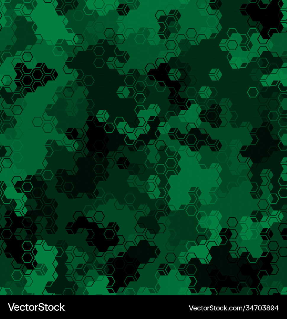 Dark Emerald Hexagon Pattern vector image