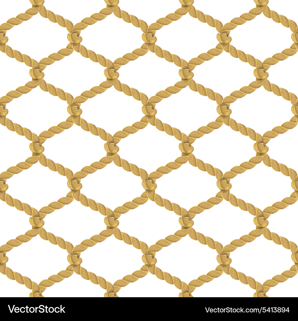 Rope Net Pattern vector image