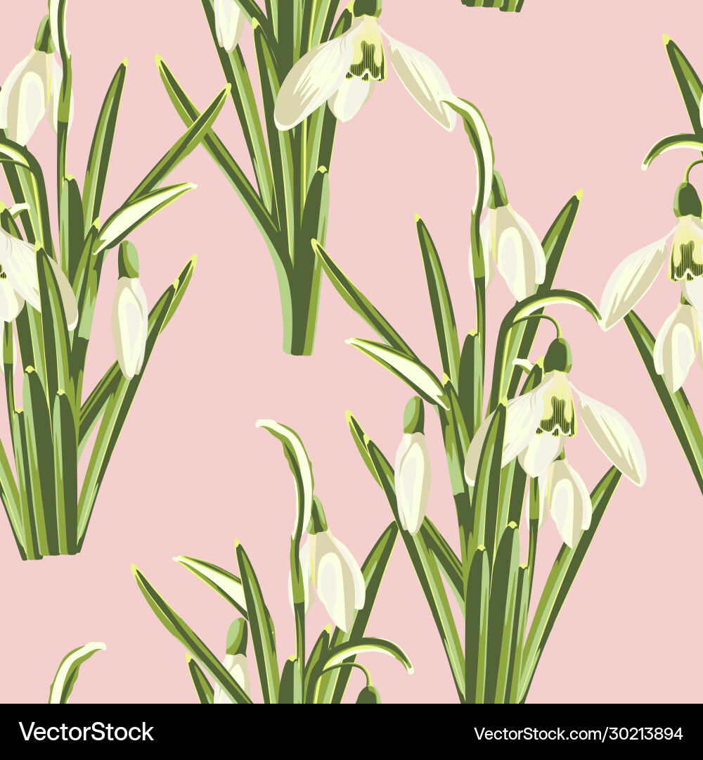 Seamless pattern with bouquet snowdrop Seamless pattern with bouquet snowdrop vector image