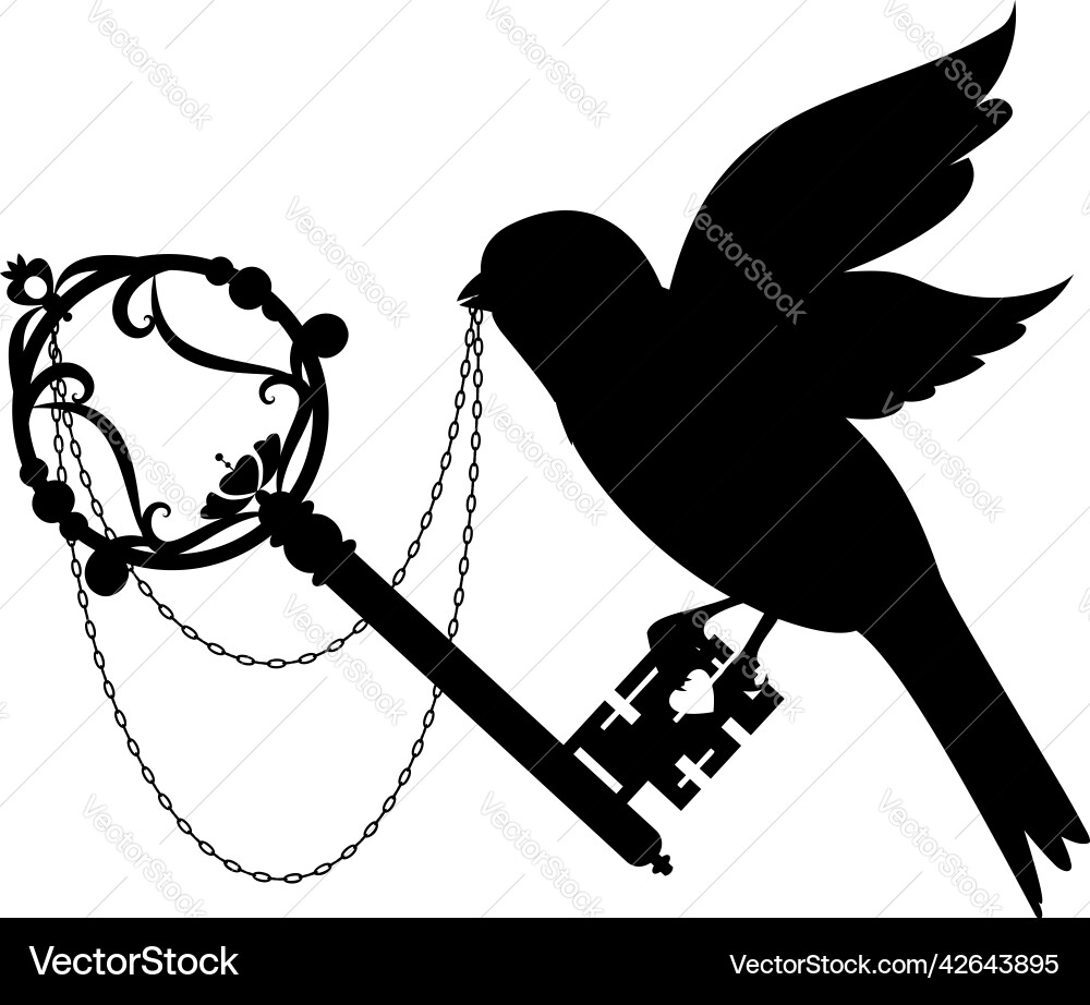 Old key bird and chain Vector Image