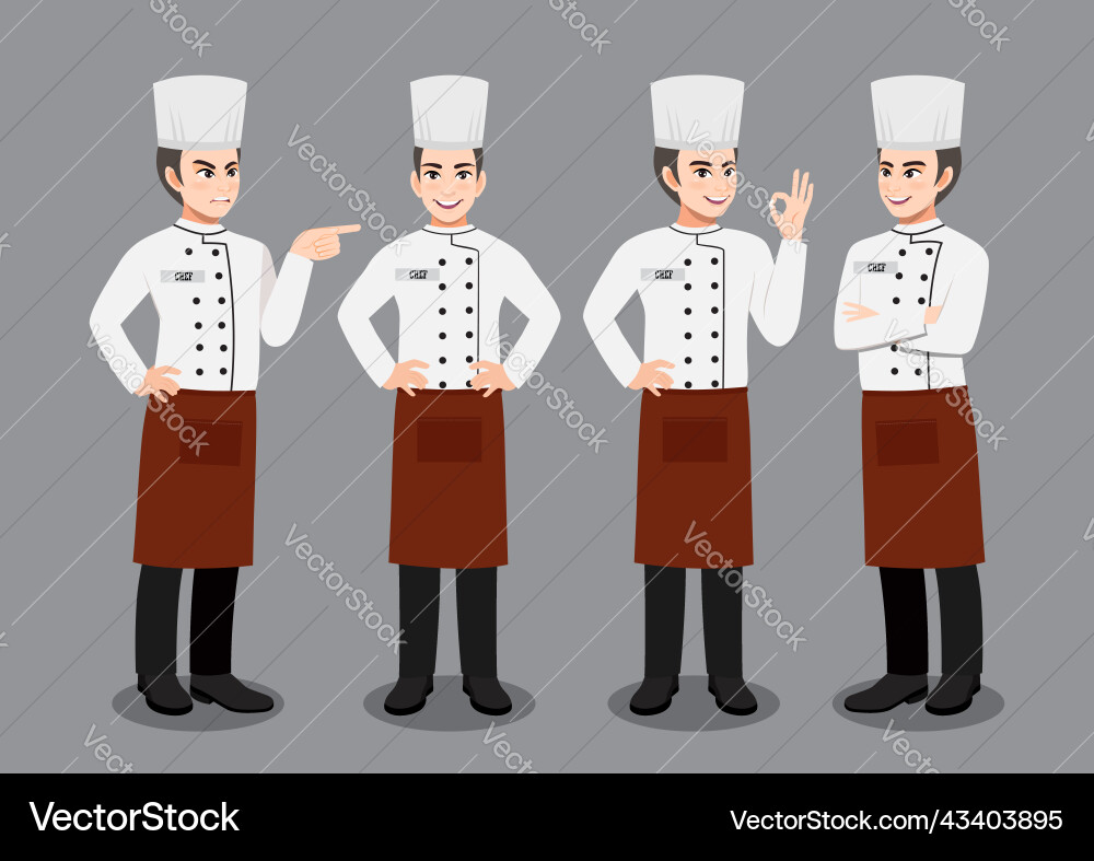 Professional man chef working character design Vector Image