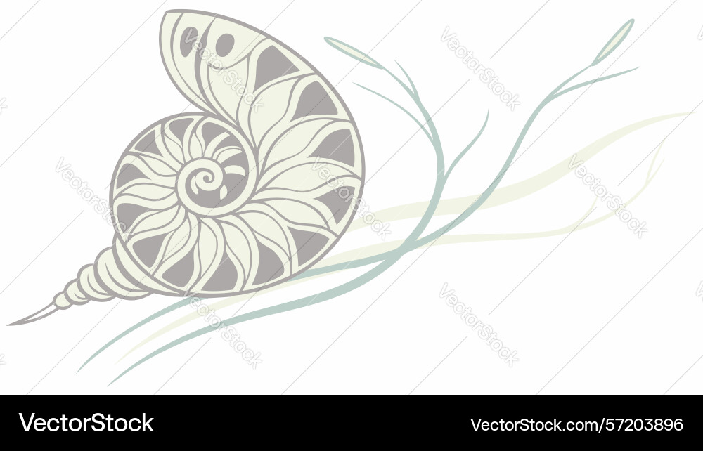 Elegant stylized nautilus shell design Vector Image