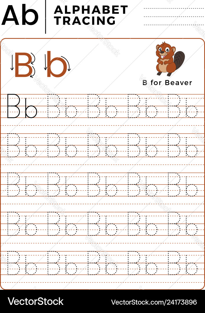 Letter b alphabet tracing book with example Letter b alphabet tracing book with example vector image