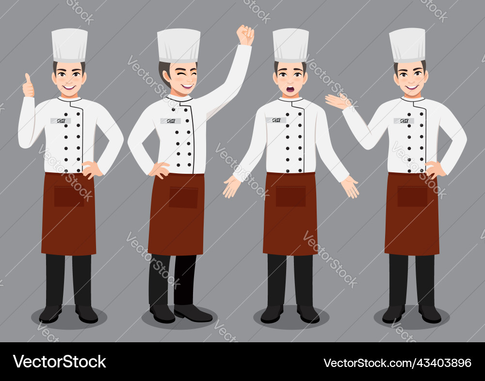 Professional man chef working character design Professional man chef working character design vector image