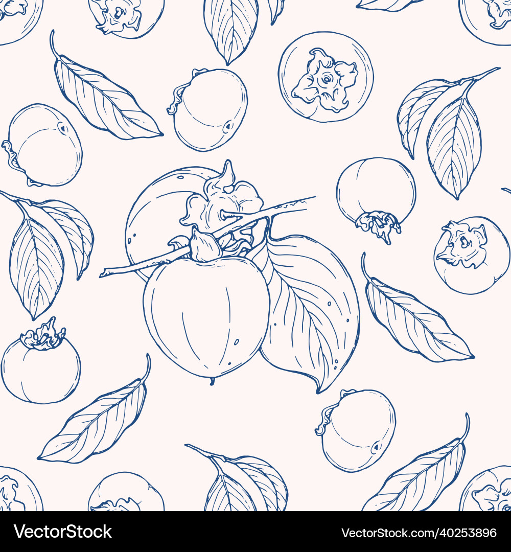 Seamless pattern with persimmon Seamless pattern with persimmon vector image
