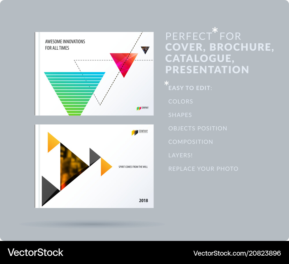 Triangular design presentation template Triangular design presentation template vector image