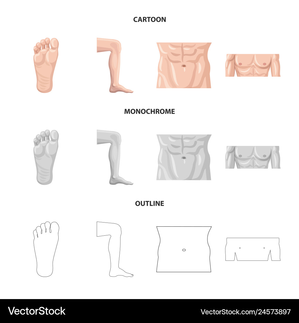 Isolated object of human and part icon collection Isolated object of human and part icon collection vector image