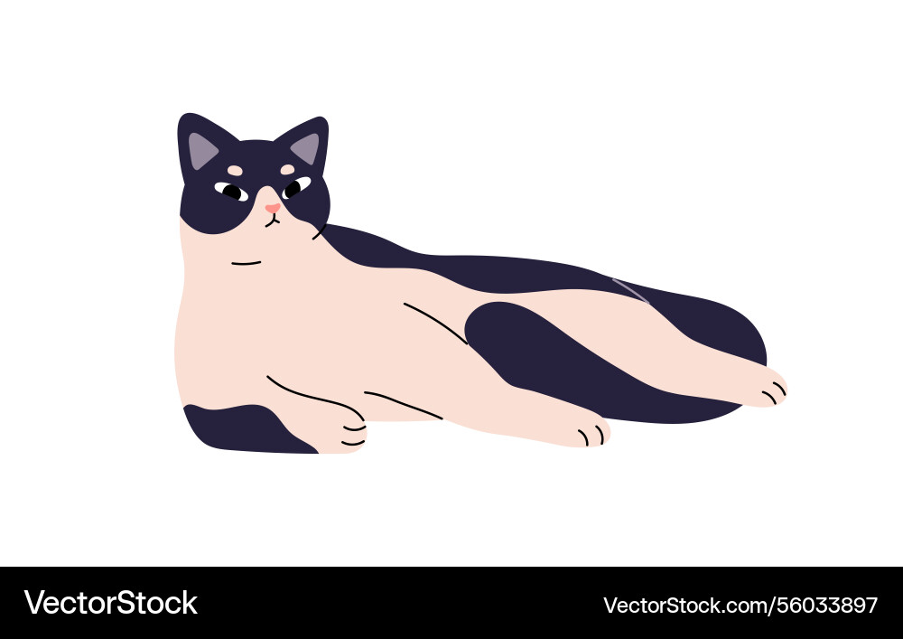 Lazy cat with dissatisfied muzzle has a rest Lazy cat with dissatisfied muzzle has a rest Vector Image