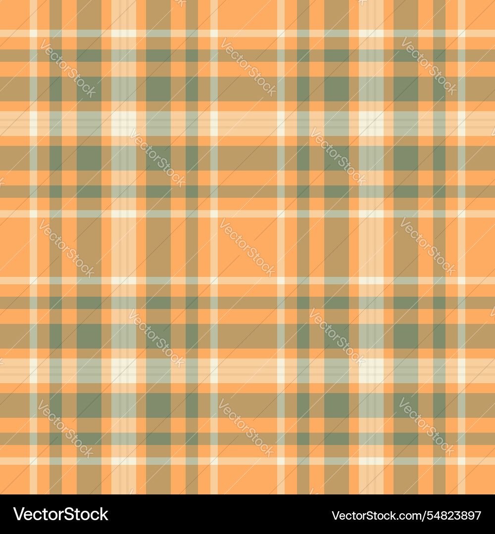 Tropical texture pattern track check tartan vector image