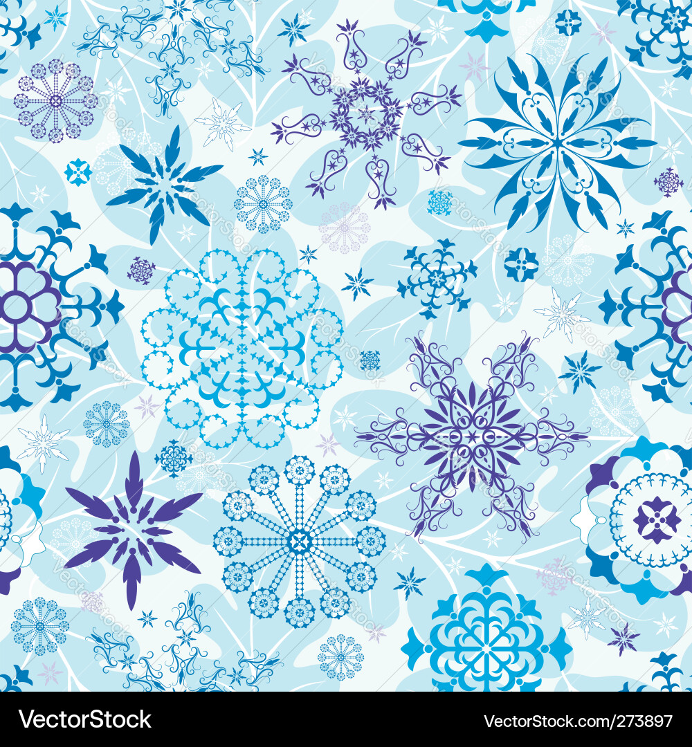 Winter Snowflake Pattern vector image