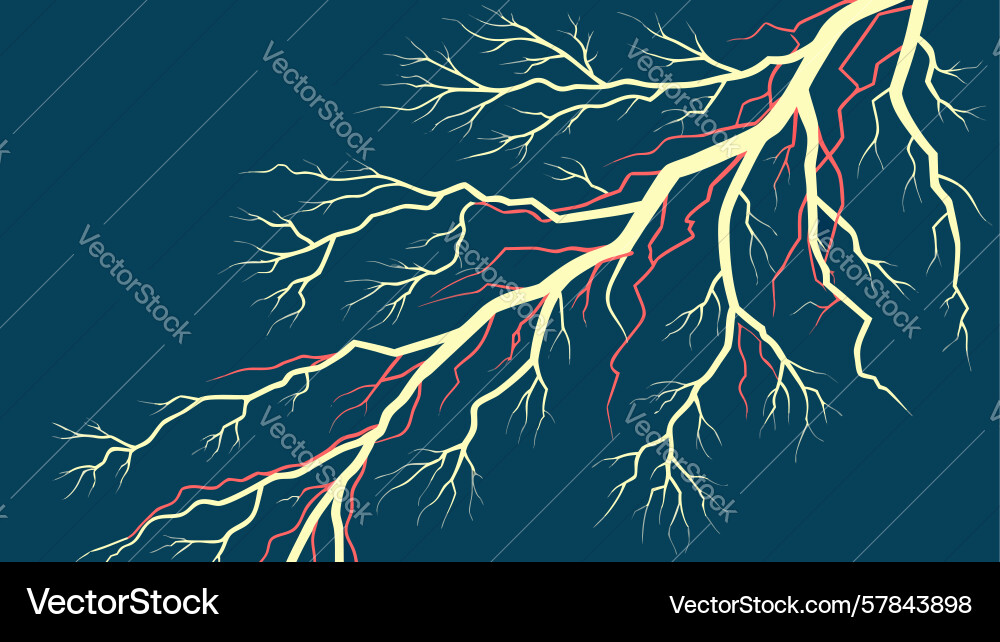 Abstract lightning and tree roots connected Vector Image