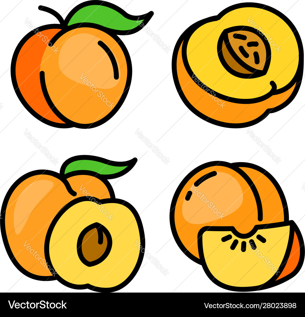 Peach Icon Set - Outline Style Vector Image