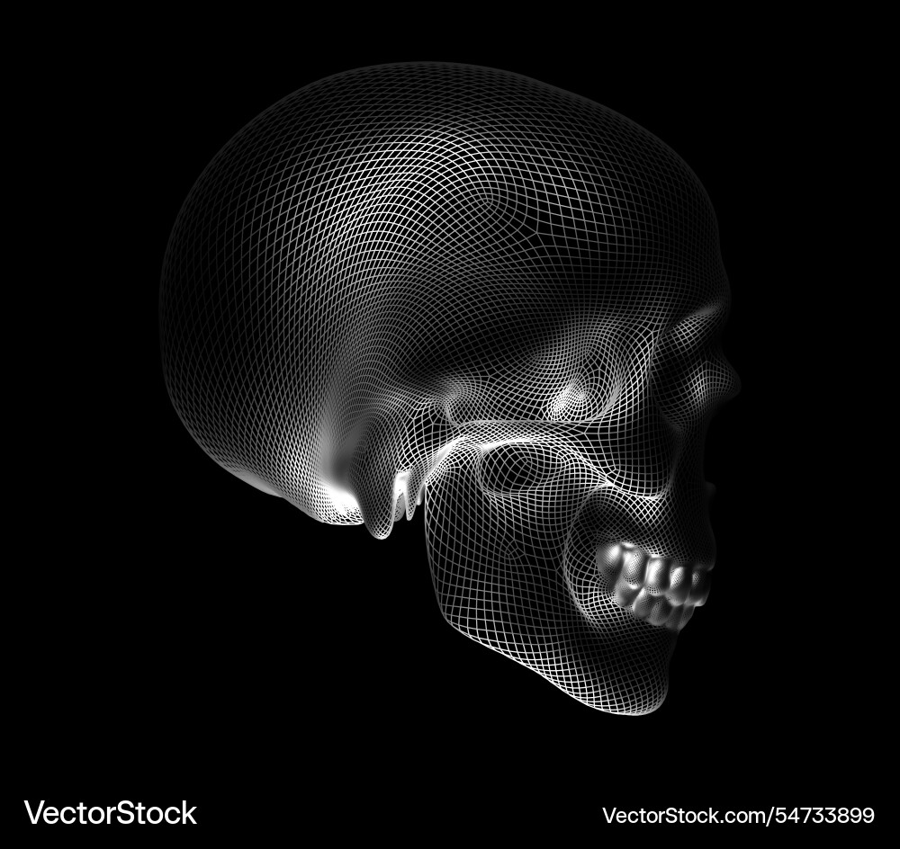 Image is a skull made in the form of grid frame Vector Image