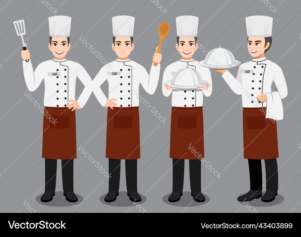 Professional man chef working character design Professional man chef working character design vector image