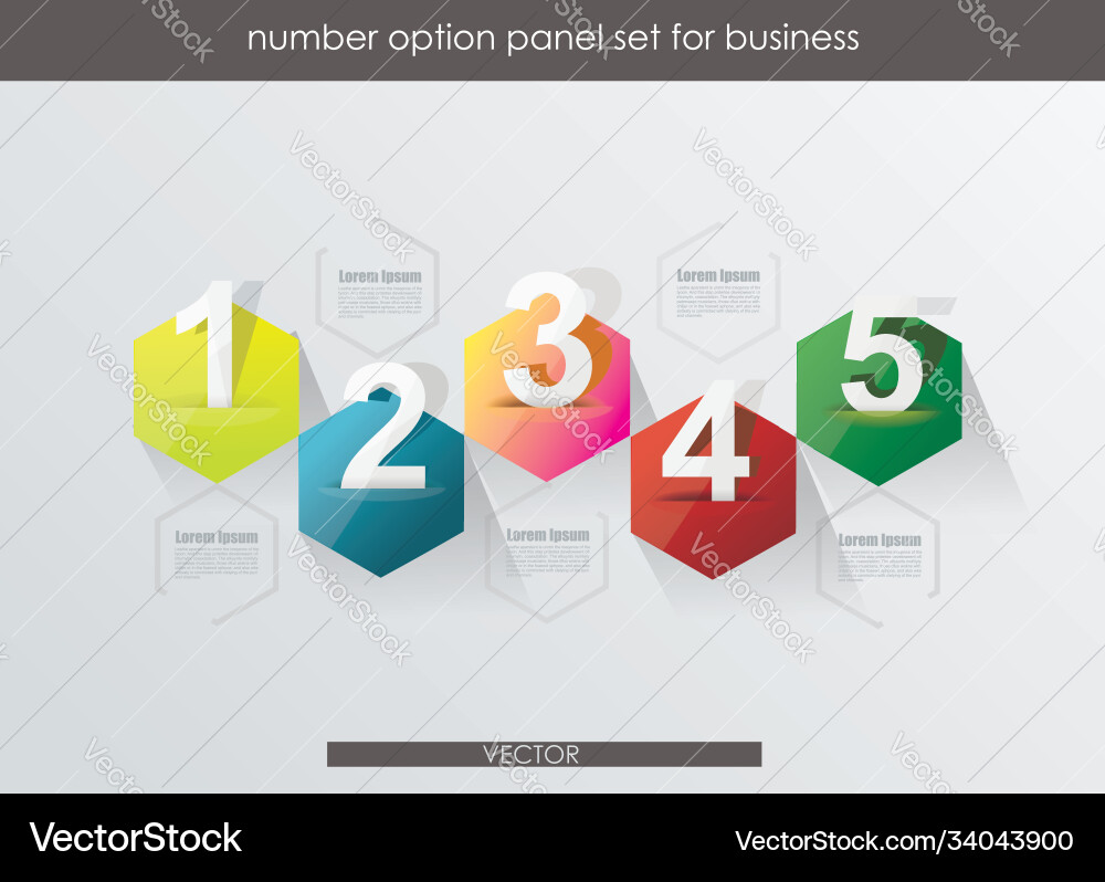 Minimal timeline or option line design Minimal timeline or option line design Vector Image