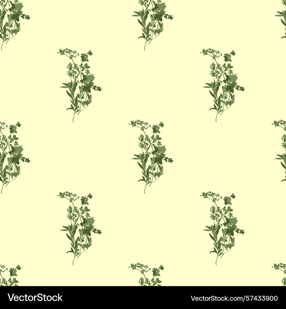 Seamless pattern with bunches of different grass Vector Image