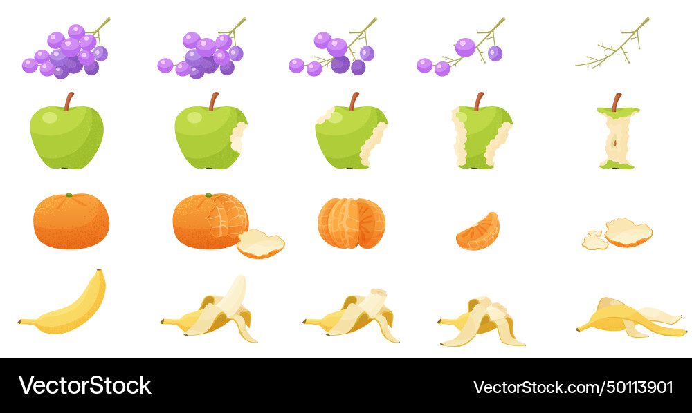 Flat eaten fruits set sequence game animation Flat eaten fruits set sequence game animation vector image
