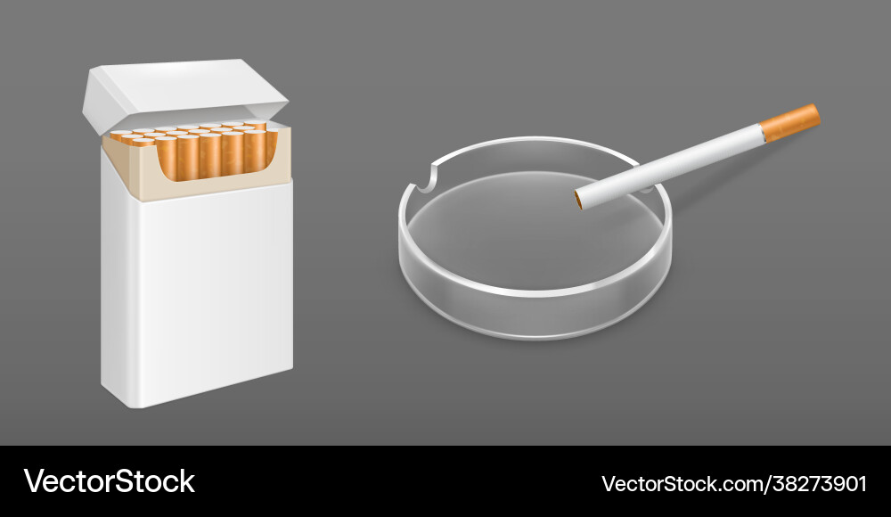 Open pack cigarettes and ashtray Vector Image