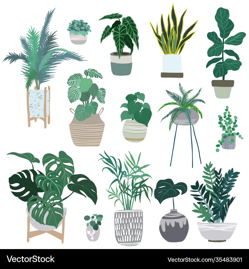 Trendy Houseplants in Pots vector image