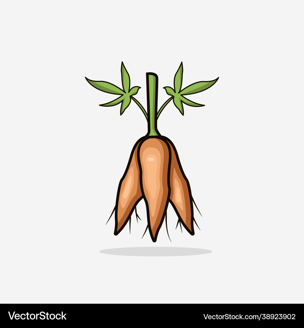Cassava simple style isolated design Cassava simple style isolated design vector image