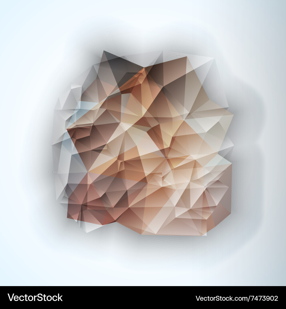 Geometric triangular abstract background vector image