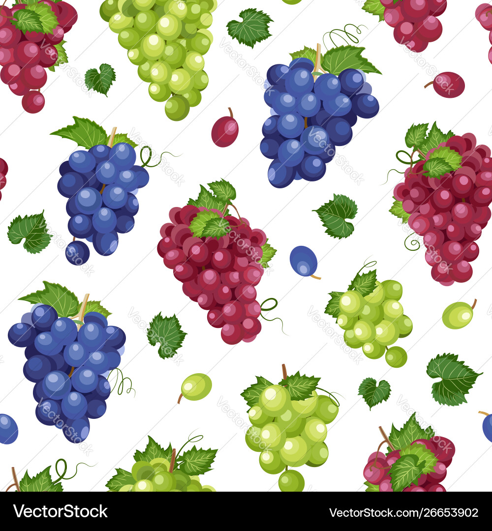 Grape Bunch Pattern - White Background vector image