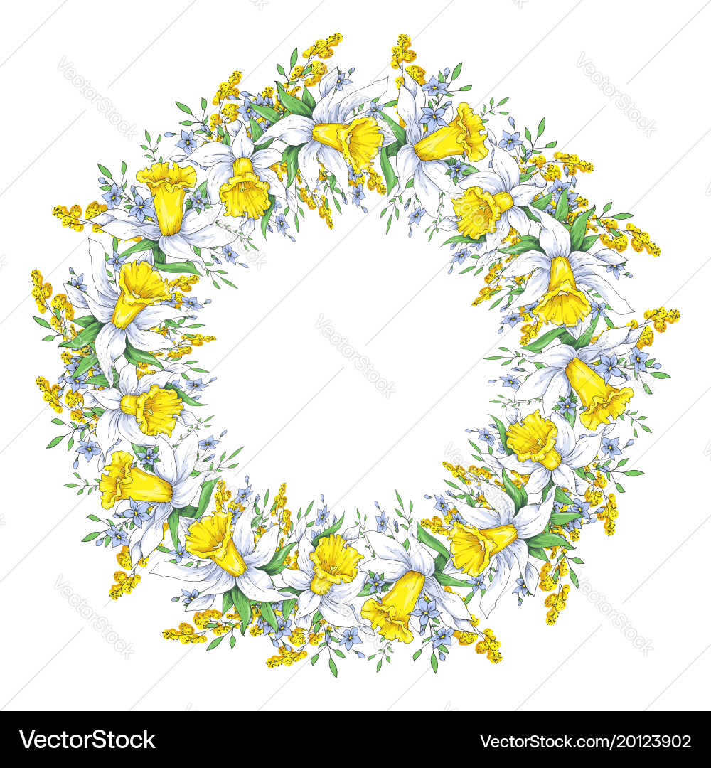 Spring bright wreath with daffodils and forget-me Vector Image